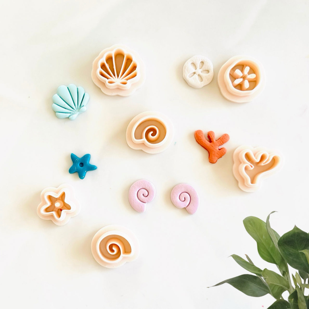 Summer beach  stud cutter set one | star fish cutter| shell round  stud cutter| shell stud cutter | coral stud cutter | sand dollar cutter