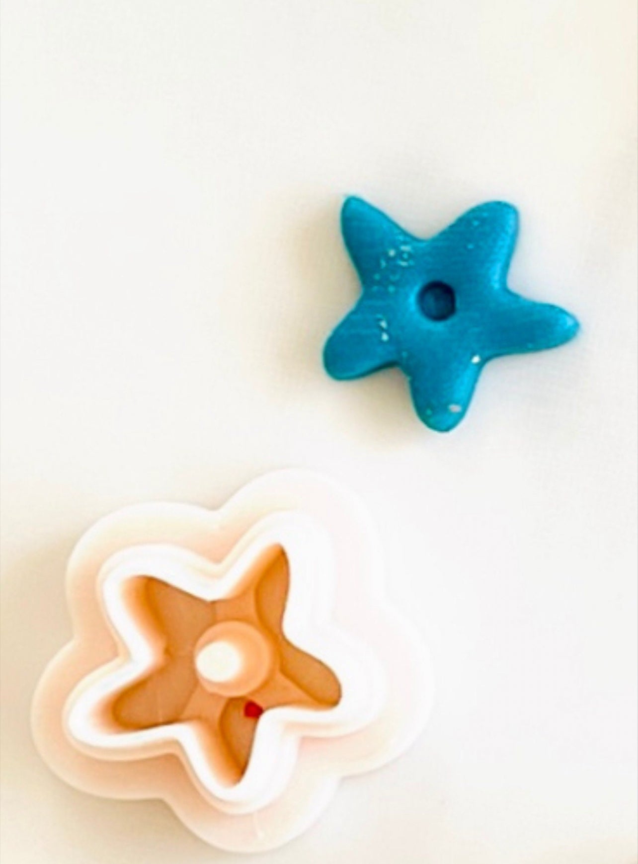 Summer beach  stud cutter set one | star fish cutter| shell round  stud cutter| shell stud cutter | coral stud cutter | sand dollar cutter